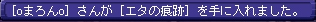 1月31日シオカンレア