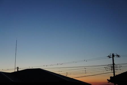 DSC05105.jpg