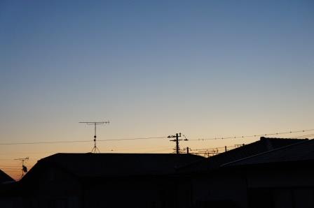DSC05108.jpg