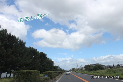 02-IMG_5529.jpg