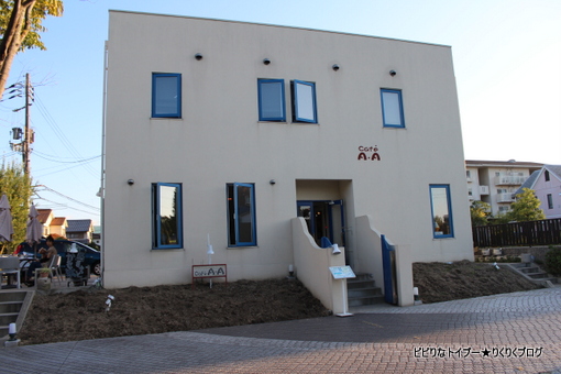 03-IMG_6327.jpg