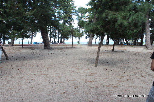 05-IMG_5540.jpg