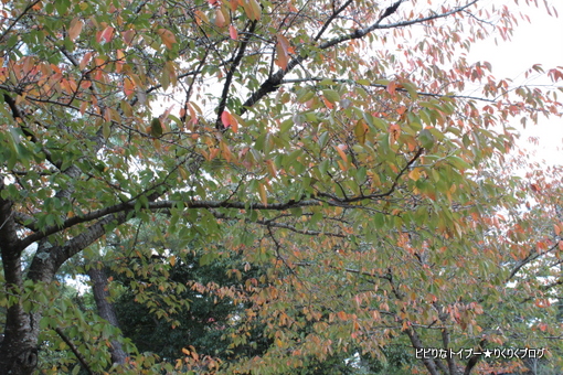 09-IMG_8609.jpg