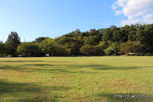 10-IMG_6194.jpg