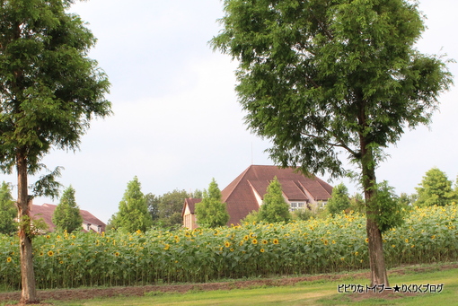 12-IMG_4126.jpg