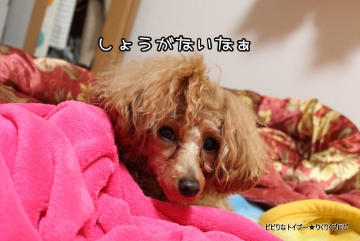5-IMG_9630.jpg