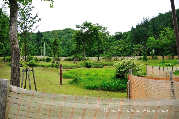 DSC_7040.jpg