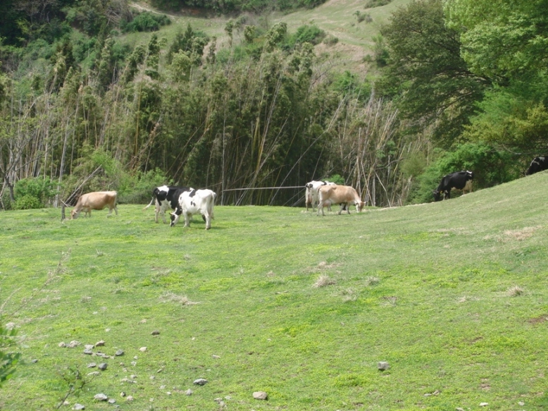 004_20120429165101.jpg