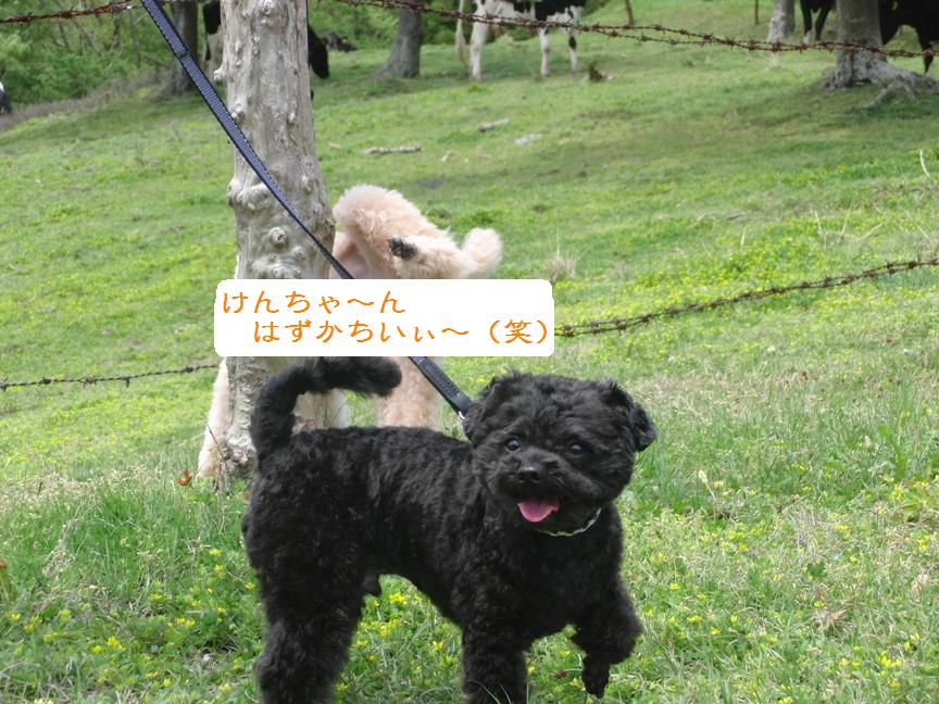 011。。。。29