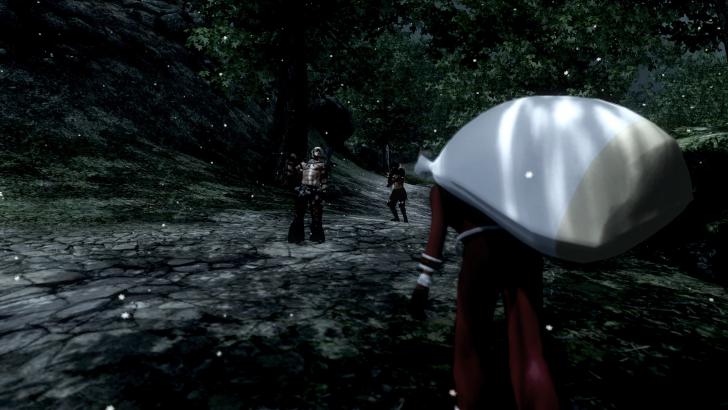 Oblivion 2012-12-20 00-33-33-71