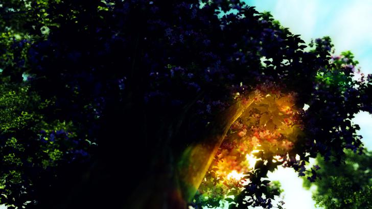 Oblivion 2013-01-05 00-41-47-13