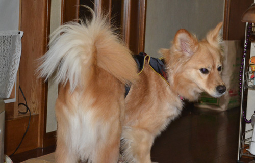 201302_8034.jpg