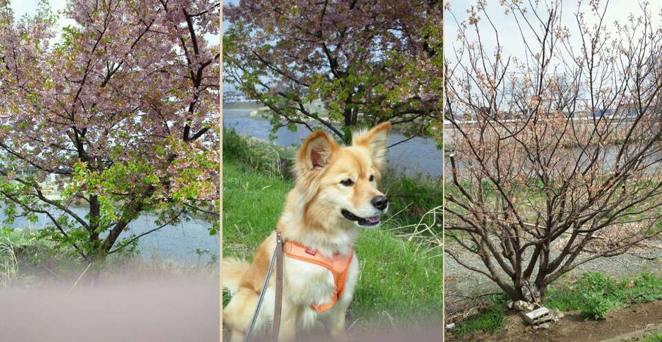 2013031711440001.jpg