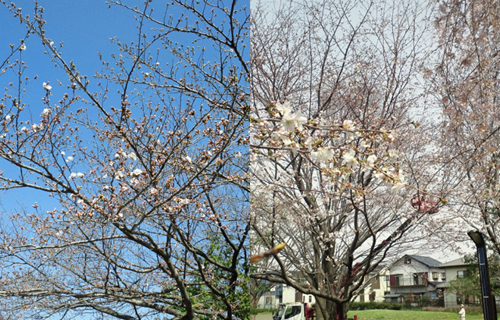 2013031909220000.jpg