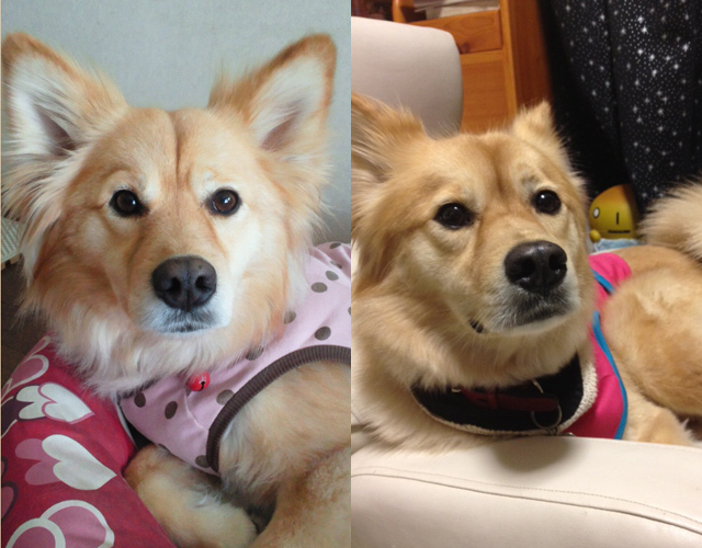 2013032010330000.jpg