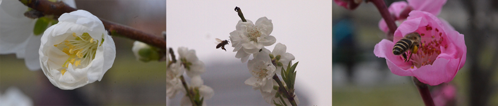 201303N_3241ed.jpg