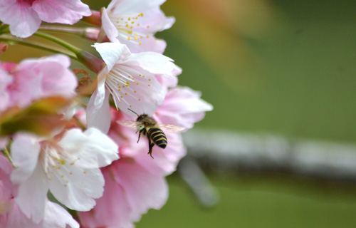 201303N_3502.jpg