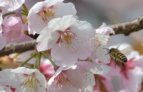 201303N_3523.jpg