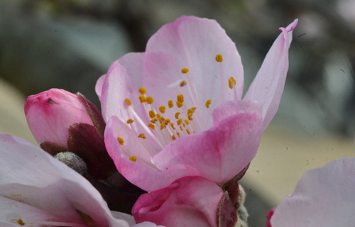 201303N_3550.jpg