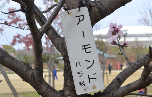 201303N_3553.jpg