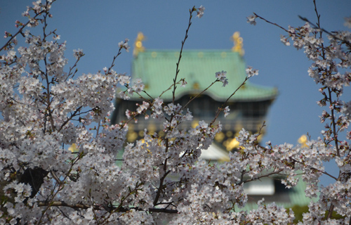 201303N_3604.jpg