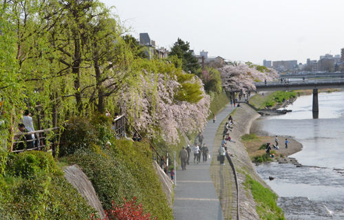 201303N_4002.jpg