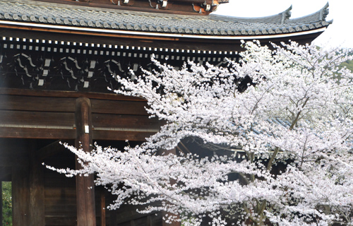201303N_4047.jpg