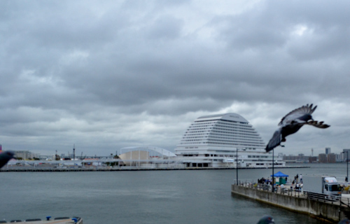 201303N_4286.jpg
