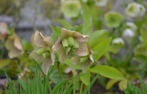 201303N_4295.jpg