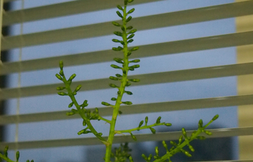 201303P_0113.jpg