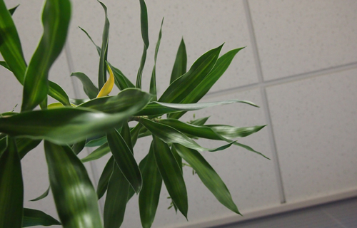 201303P_0333.jpg