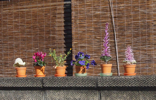 201303P_0523.jpg