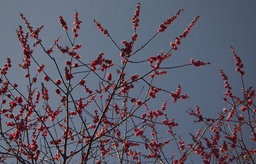 201303P_0526.jpg