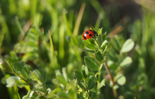 201303P_0537.jpg
