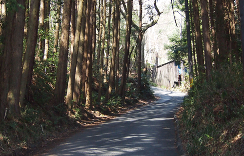201303P_0590.jpg