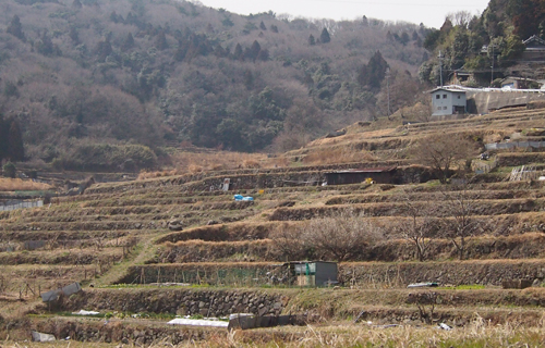 201303P_0653.jpg