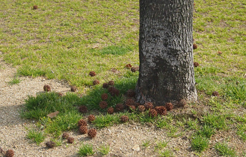 201303P_0724.jpg