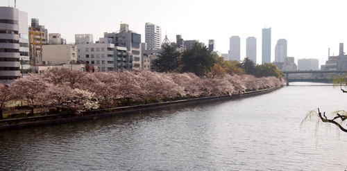 201303P_1432.jpg