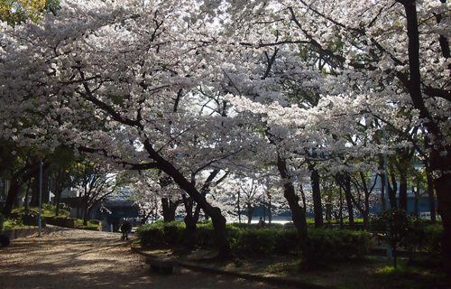 201303P_1435.jpg