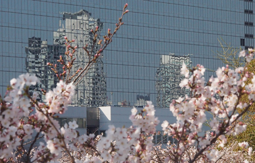 201303P_1442.jpg