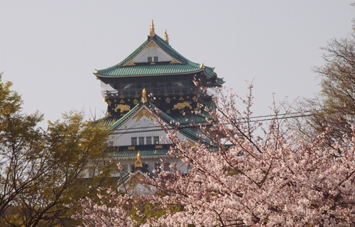 201303P_1450.jpg