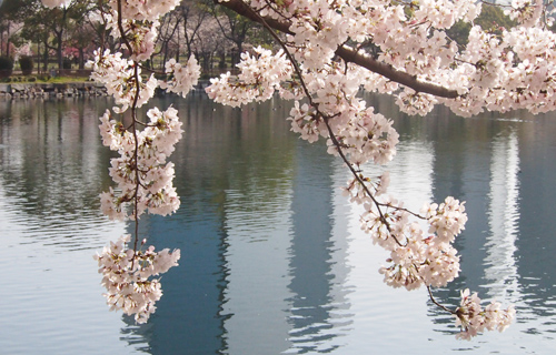 201303P_1457.jpg