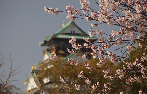 201303P_1463.jpg