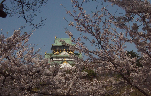 201303P_1471.jpg