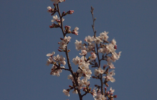 201303P_1477.jpg