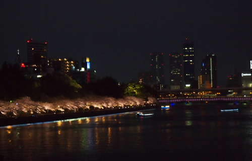 201303P_1684.jpg