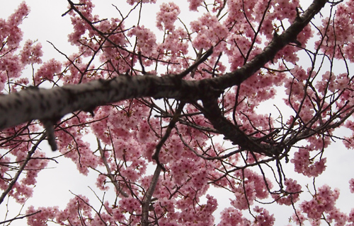 201303p_1267.jpg