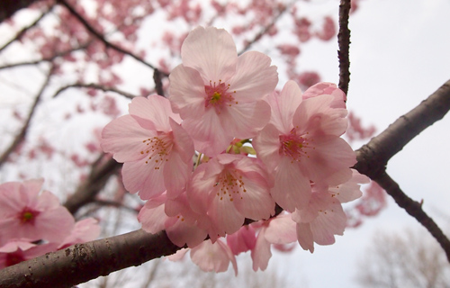 201303p_1282.jpg