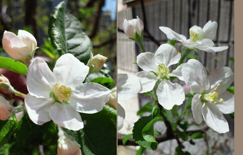 2013040811030000.jpg