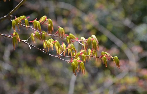 201304N_4445.jpg